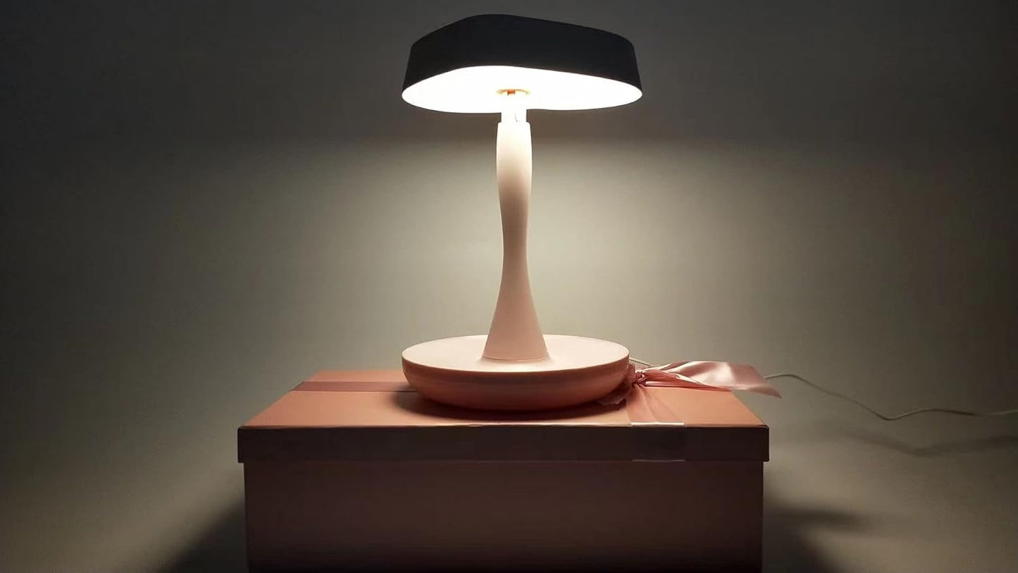 Lampy Makeup Mirror with Lights,2000 Mah LED Rechargeable Makeup Mirror,Back Ambient Light, Nice Gift for Daughter Girlfriend Wife Sister,Red