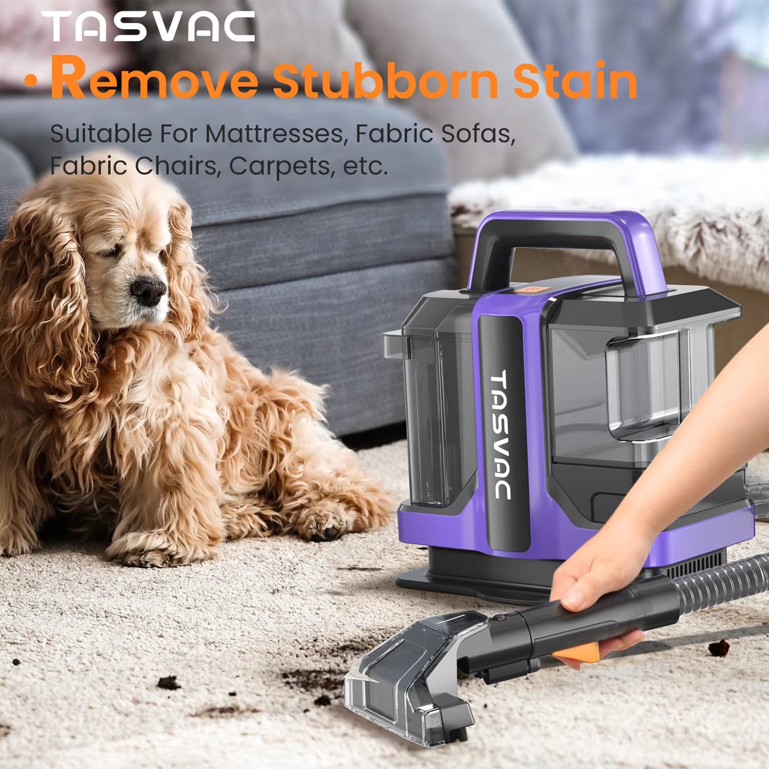 Suitable for Mattresses, Fabric Sofas, Fabric Chairs, Carpets 

TASVAC C7 Portable Carpet & Upholstery Cleaner Machine for Pets, Stairs, Couch Area Rugs, Upholstery, Car Seat