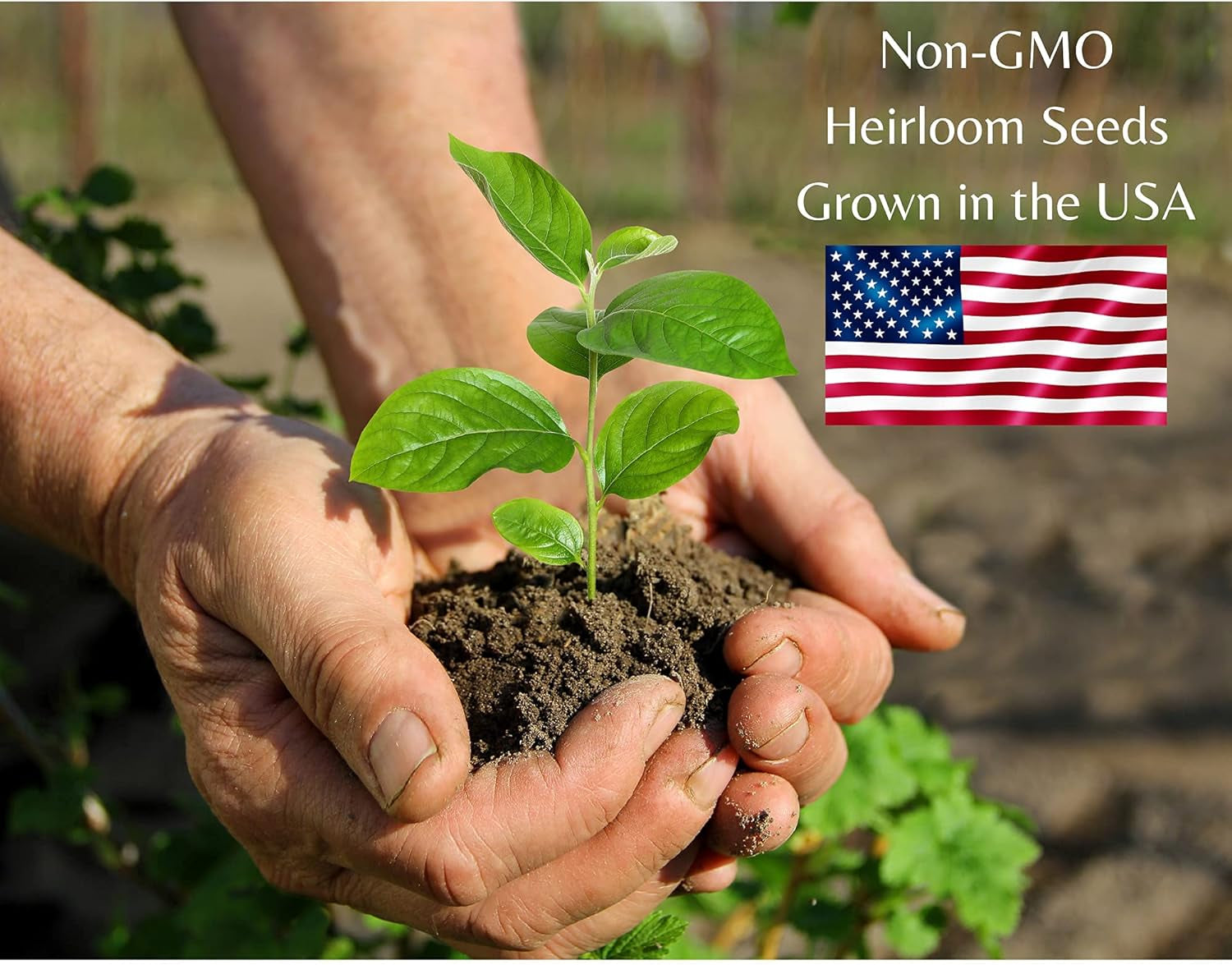 Multiple Seeds Indoor Herb Garden Starter Kit - Non GMO, Heirloom Herb Seeds - Cilantro, Oregano, Parsley and Basil Seeds for Planting - Gardening Gifts - Made in USA (Herb Garden Starter Kit)