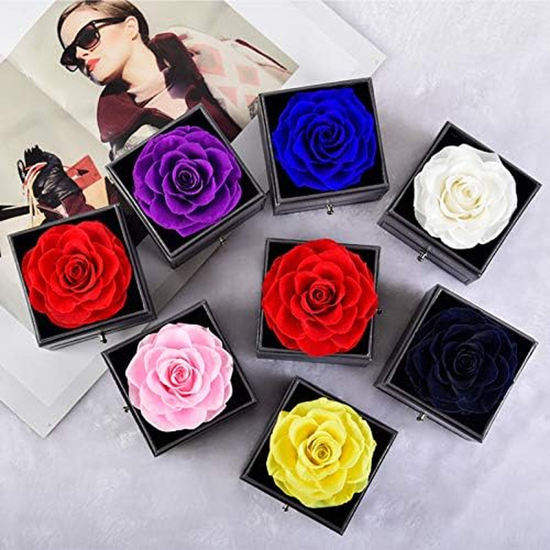 Multicolour Preserved Real Rose Enchanted Real Rose Flower with Love Heart I Love You Necklace 100 Languages Gift Set,Handmade Eternal Flesh Flower Rose Gift for Her on Valentine'S Day Anniversary Mother'S Day