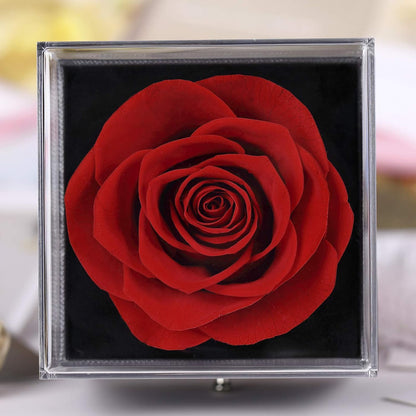 Red Preserved Real Rose Enchanted Real Rose Flower with Love Heart I Love You Necklace 100 Languages Gift Set,Handmade Eternal Flesh Flower Rose Gift for Her on Valentine'S Day Anniversary Mother'S Day