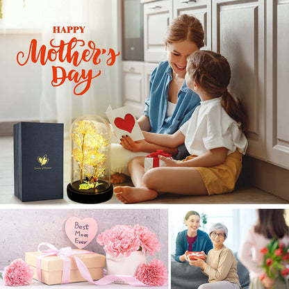 Perfect for Mother's Day 
Valentines Flowers Gifts for Her,Beauty and the Beast Rose Glowing Rose Gift,Glass Galaxy Flower Gift,Rainbow Valentines Rose Flower Gift,Beast Rose Xmas Day Gifts for Mom,Women,Wife'S,Grandma